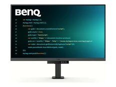 Monitorius BENQ RD320UA kaina
