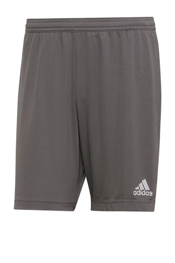 Šortai vyrams Adidas, pilki