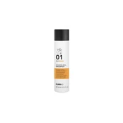 PURING maitinamasis šampūnas RICHNESS, 300 ml kaina