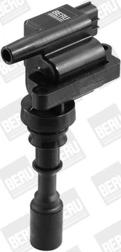 Ritė, uždegimas BorgWarner (BERU) ZSE086