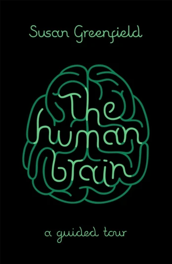 Human Brain
