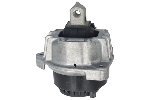 Variklio montavimas DELPHI TEM255