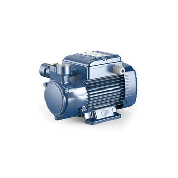 Sausai statomas horizontalus siurblys Pedrollo PQm 81-PRO 230V