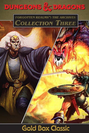 Forgotten Realms: The Archives PC