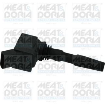 Ritė, uždegimas MEATDORIA 10599