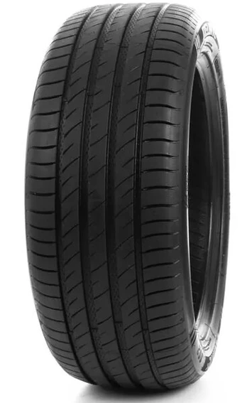 Delinte DS2 185/65R15 88 H