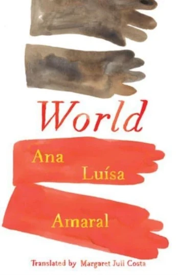 KNYGA Ana Luisa Amaral Pasaulis