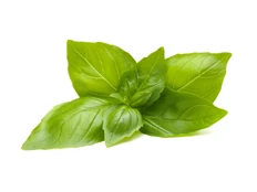Click & Grow Smart Garden refill Lime Basil 3pcs | SGR100X3 kaina