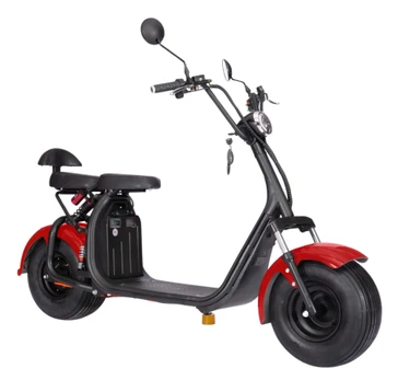 Elektrinis motoroleris čioperis RIDE-E M2 1000W 20Ah 60V