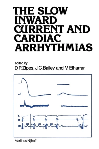 Slow Inward Current and Cardiac Arrhythmias