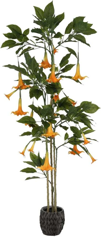 Dirbtinis augalas Datura-Brugmansija, 200 cm