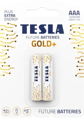 AAA Tesla Gold+ LR03 2 vienetai kaina