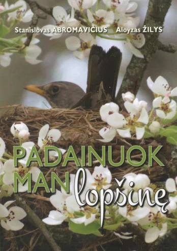 Padainuok man lopšinę