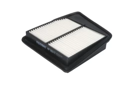 Oro filtras FILTRON AP102/7 kaina