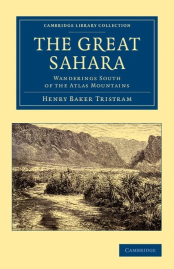 Great Sahara