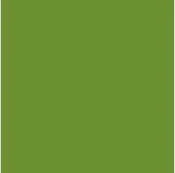 Serviet Bio Dunisoft L40xB40cm Leaf Grøn,60 stk/pk