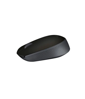 Belaidė pelė LOGITECH M171, juoda sp.
