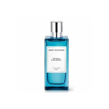 Les Eaux DUn Instant Aromatic Sage EDT Spray tualetinis vanduo vyrams 150ml