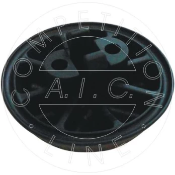 Kėlimo taškas AIC 55981