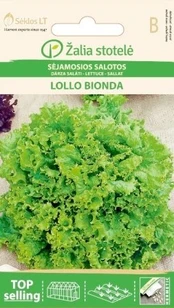 Sėjamosios salotos Lollo Bionda