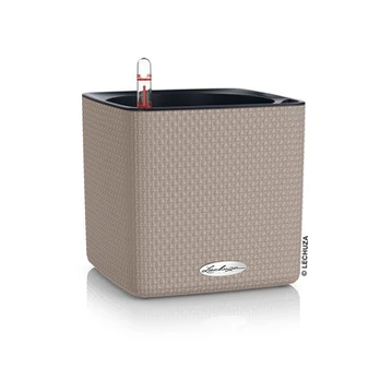 Lechuza Cube Color 16 cm