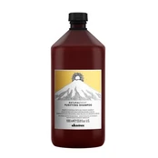 Davines Purifying Shampoo Šampūnas nuo pleiskanų, 1000ml kaina