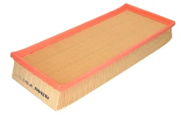 Oro filtras FILTRON AP118/2 kaina