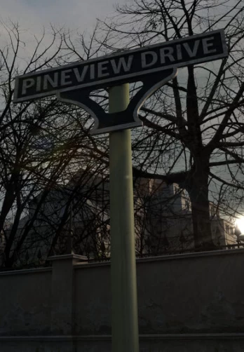 Pineview Drive Steam