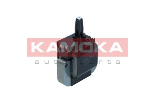 Ritė, uždegimas KAMOKA 7120064