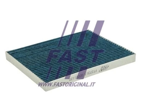 Filtras, salono oras FAST FT37313PM