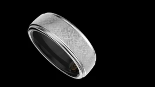 Future Ring2 Titanium Silver 10 (50,6mm) kaina