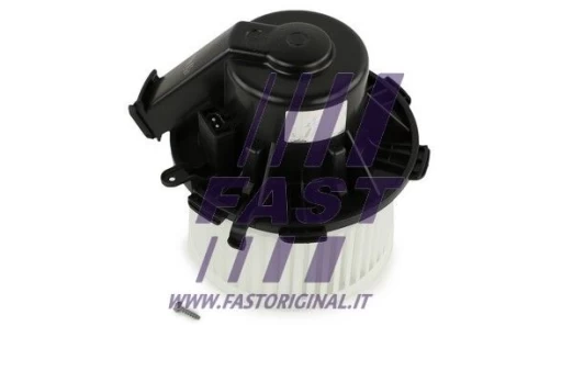 Vidaus pūtiklis FAST FT56567