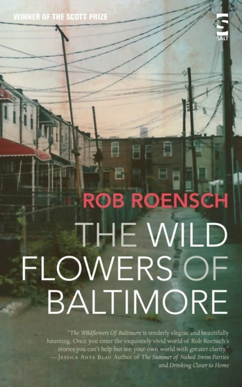 Wildflowers of Baltimore