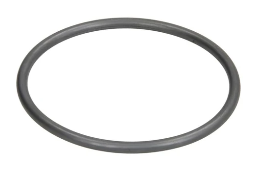 Termostato tarpinė ELRING EL002240