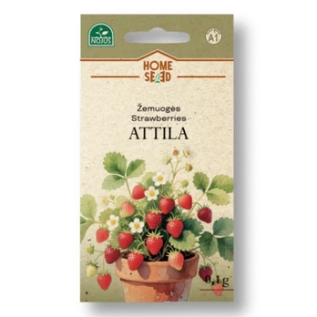 Žemuogės Attila 0.1g