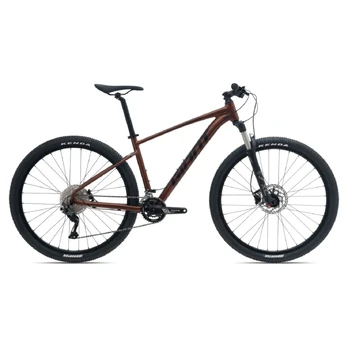 Bicycle GIANT Talon 29 1 GE, Hematite (L)