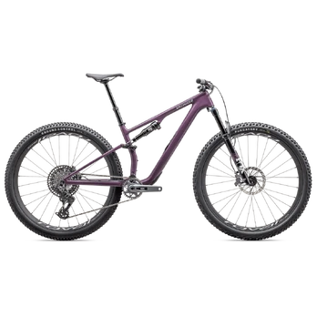 Specialized Epic 8 EVO Expert kalnų dviratis | Gloss Cast Lilac - Dune White, XS