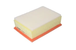 Oro filtras FILTRON AP130/6 kaina