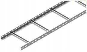 Baks Kabelių kopėčios DUP300H60/3N Baks
