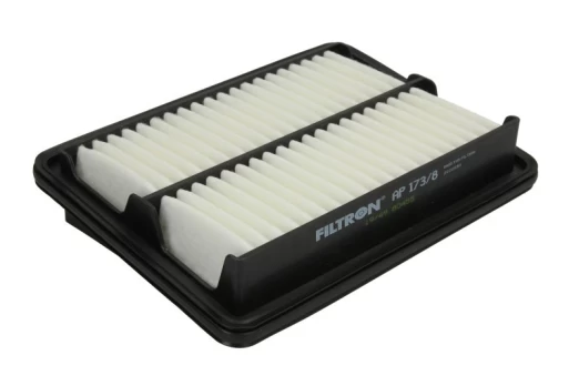 Oro filtras FILTRON AP 173/8