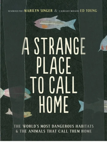 Strange Place to Call Home