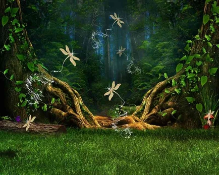 Plakatas Fantastika 1165; Dydis A2, A1, A0 formato