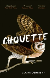 Chouette kaina