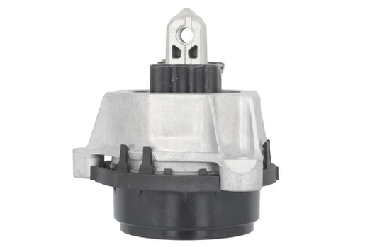 Variklio montavimas TEDGUM TED57417