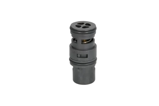 termostatas, aušinimo skystis THERMOTEC D2B007TT