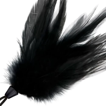 Plunksna DARKNESS 17 cm