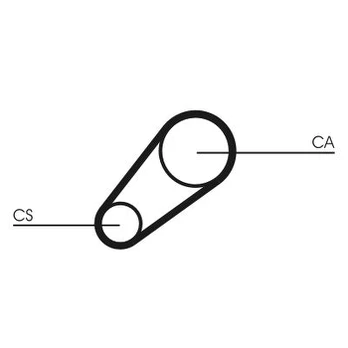CONTI CT 648 Timing belt