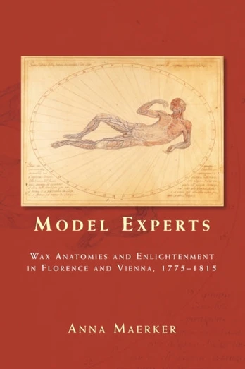 Model Experts