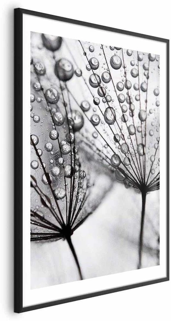Artgeist Plakatas - Macro Dew