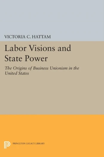 Labor Visions and State Power - Minkštas viršelis